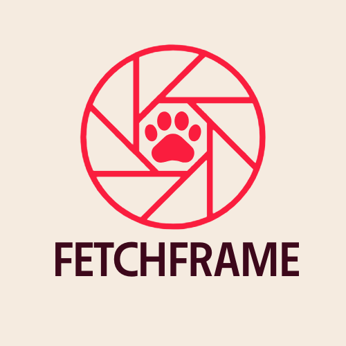 FetchFrame