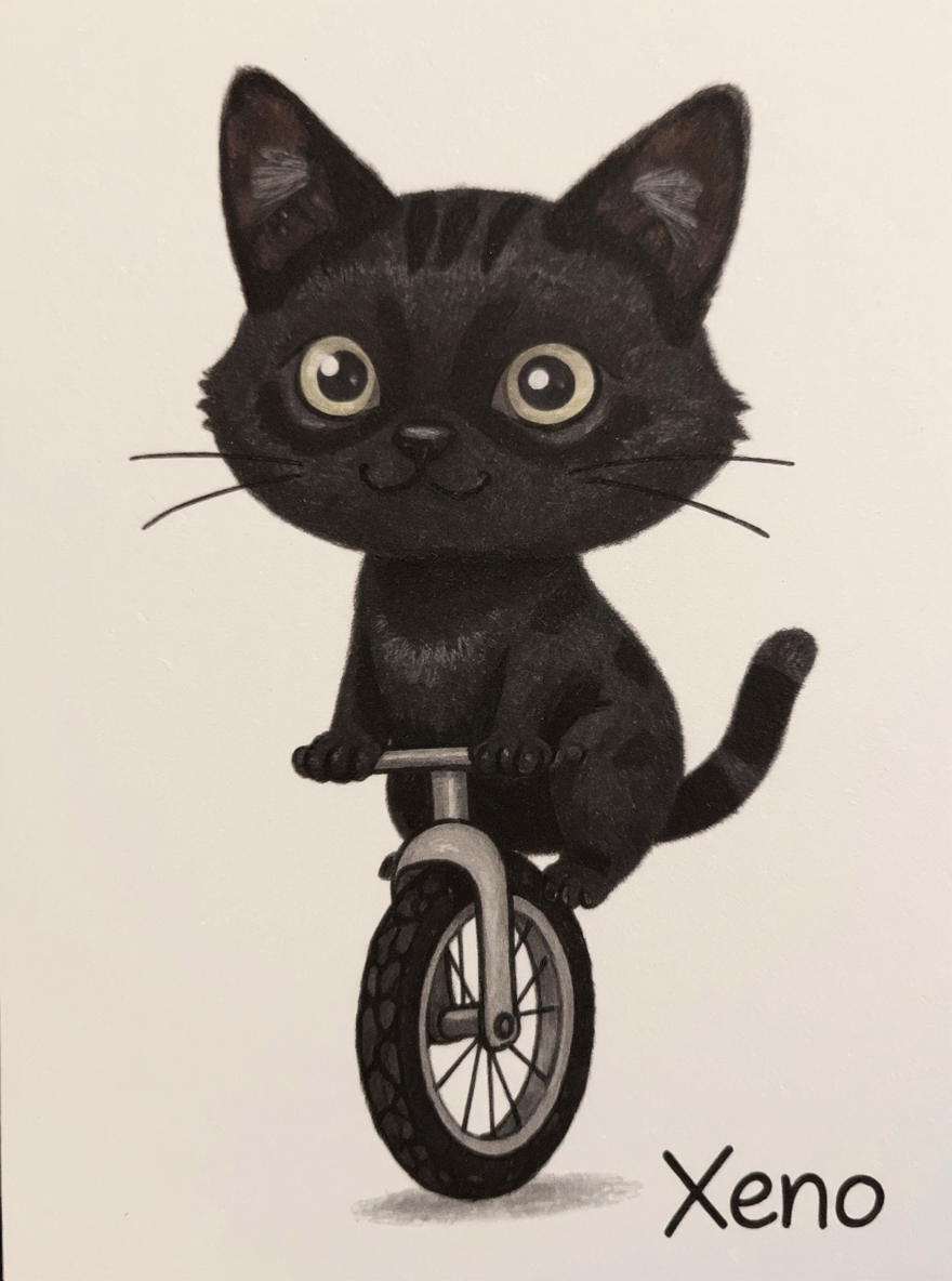 Pet Portrait